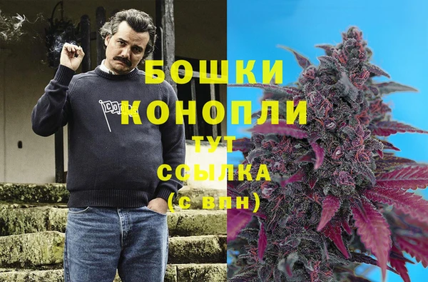 спиды Карталы