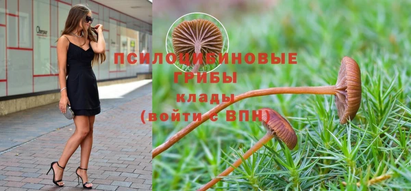 гашишное масло Касимов