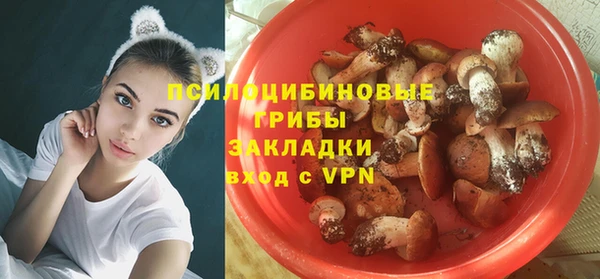 спиды Карталы