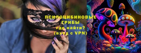 синтетический гашиш Карпинск
