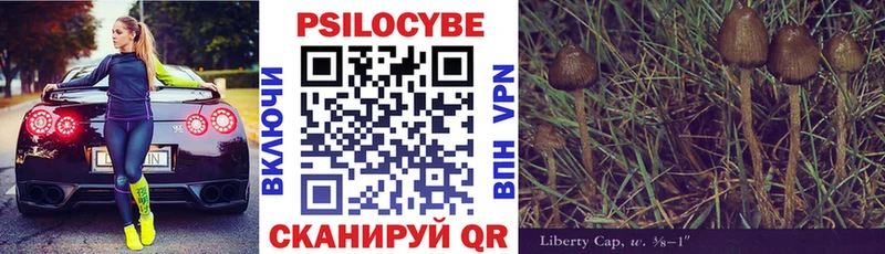 KRAKEN ссылка  Чёрмоз  Галлюциногенные грибы MAGIC MUSHROOMS 